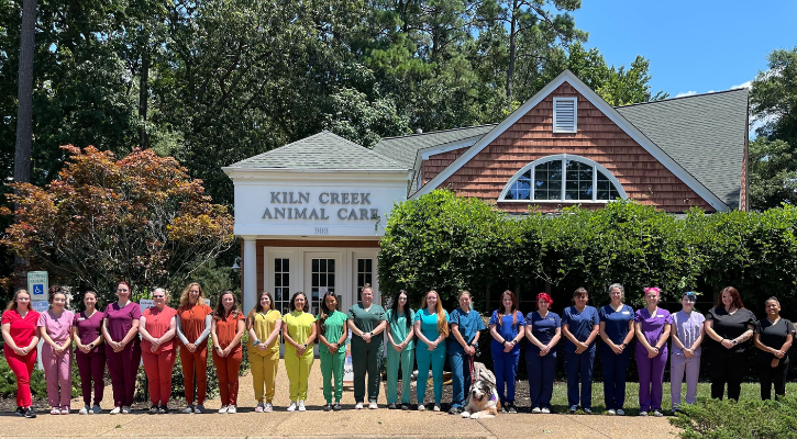 Kiln Creek Animal Care Veterinarians and Veterinary Staff Members